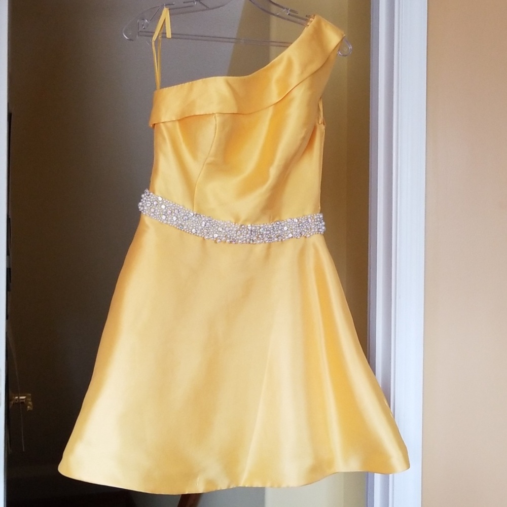 Ashley Lauren Dress